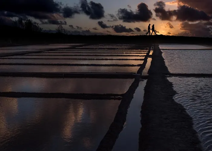 Ria 35 アパート アヴェイロ