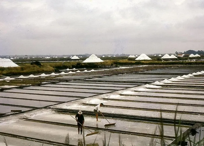 Ria 35 アパート *